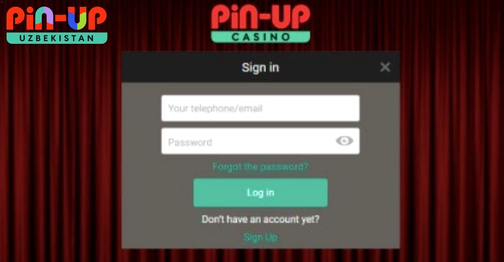 PIN-UP kirish formasi — telefon va email